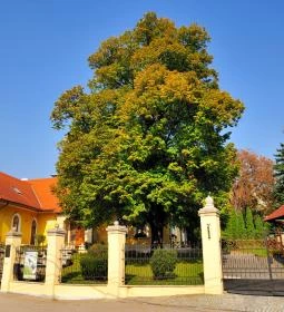 Garamvári Szőlőbirtok