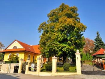 Garamvári Szőlőbirtok Balatonlelle