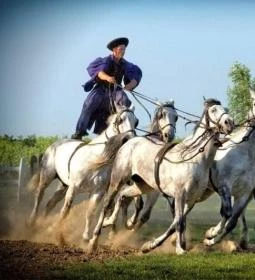 Rádpusztai Lovascentrum