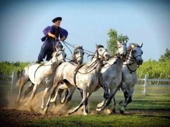 Rádpusztai Lovascentrum Balatonlelle