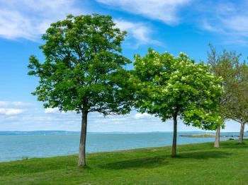Balatonlelle Nyugati szabadstrand Balatonlelle