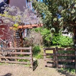 Boróka Vendégház Balatonlelle Balatonlelle - Medence/kert