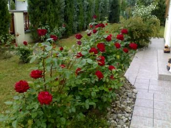 Botos Villa Balatonlelle