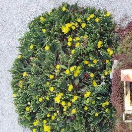 Bubu-Lak Balatonlelle - Medence/kert