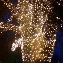 Bubu-Lak Balatonlelle - Egyéb