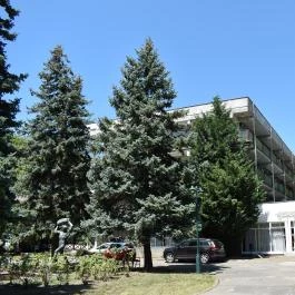 Park Hotel Balatonlelle Balatonlelle - Egyéb