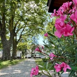 Sirály Hotel Balatonlelle - Medence/kert