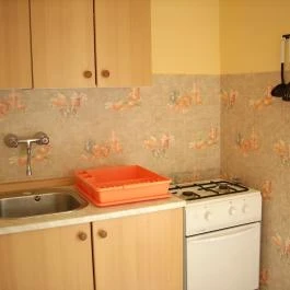 Zsuzsa Apartmanház Balatonlelle - Vendéglátás