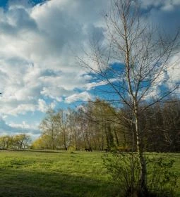 Kányavári-sziget Nagy kilátó