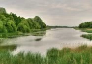 Balatonmagyaród - Búbos vöcsök tanösvény