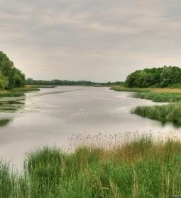 Búbos vöcsök tanösvény