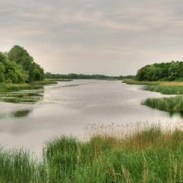 Búbos vöcsök tanösvény Balatonmagyaród - Egyéb