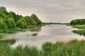 Búbos vöcsök tanösvény Balatonmagyaród