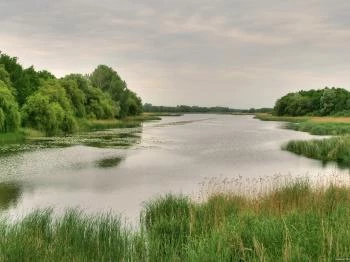 Búbos vöcsök tanösvény Balatonmagyaród