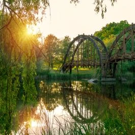 Kányavári-sziget Balatonmagyaród - Egyéb