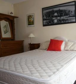 Bartók utcai Apartman