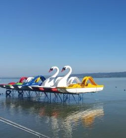 Fröccsterasz Strandi Apartmanok