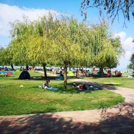 Fröccsterasz Strandi Apartmanok Balatonmáriafürdő - Egyéb