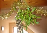 House Markó Balatonmáriafürdő