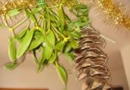 House Markó Balatonmáriafürdő