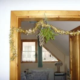 House Markó Balatonmáriafürdő - Egyéb