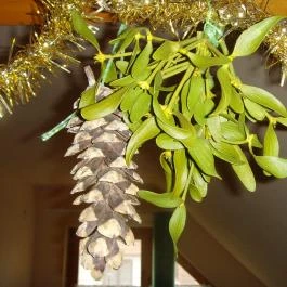 House Markó Balatonmáriafürdő - Egyéb