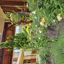 Hullám Villa Balatonmáriafürdő - Külső kép