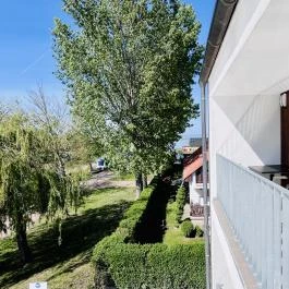 Port Étterem & Panzió Balatonmáriafürdő - Medence/kert