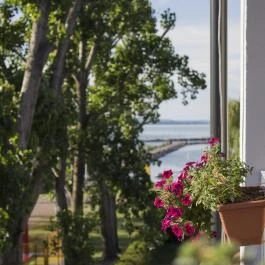 Port Étterem & Panzió Balatonmáriafürdő - Medence/kert