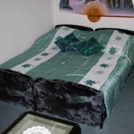 Rákóczi Földszinti Apartman Balatonmáriafürdő - Egyéb