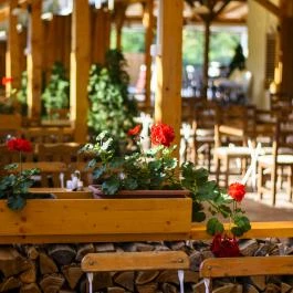 Viktor Bor- és Vendégház Balatonmáriafürdő - Vendéglátás