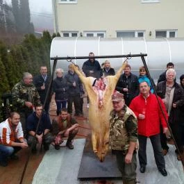Viktor Bor- és Vendégház Balatonmáriafürdő - Egyéb
