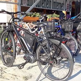 Viktor Bor- és Vendégház Balatonmáriafürdő - Egyéb