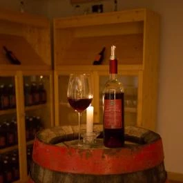 Viktor Bor- és Vendégház Balatonmáriafürdő - Egyéb