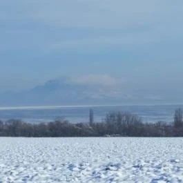 Viktor Bor- és Vendégház Balatonmáriafürdő - Egyéb