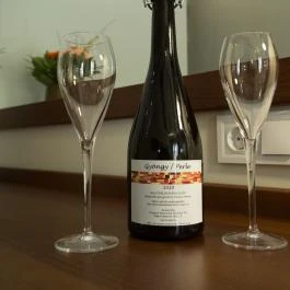 Viktor Bor- és Vendégház Balatonmáriafürdő - Egyéb