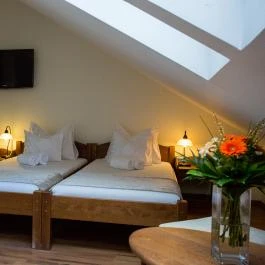 Viktor Bor- és Vendégház Balatonmáriafürdő - Egyéb