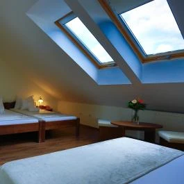 Viktor Bor- és Vendégház Balatonmáriafürdő - Egyéb