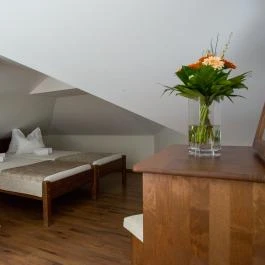 Viktor Bor- és Vendégház Balatonmáriafürdő - Egyéb