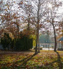 68. legjobb látnivaló: Zenepavilon