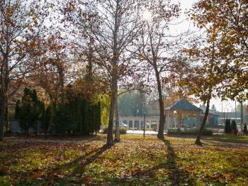 Zenepavilon Balatonszárszó