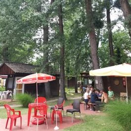 Családi Üdülő Balatonszárszó Balatonszárszó - Medence/kert