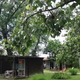 Családi Üdülő Balatonszárszó Balatonszárszó - Egyéb