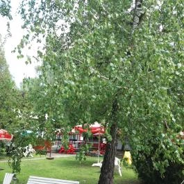 Családi Üdülő Balatonszárszó Balatonszárszó - Medence/kert