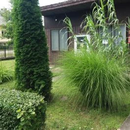 Családi Üdülő Balatonszárszó Balatonszárszó - Külső kép