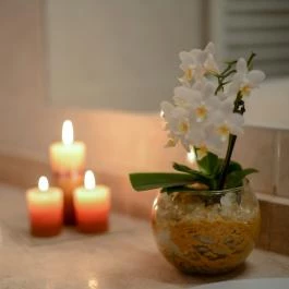 Holiday Resorts Balatonszárszó - Wellness