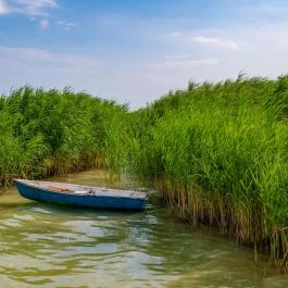 Holiday Resorts Balatonszárszó - Egyéb