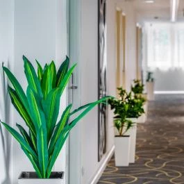 Holiday Resorts Balatonszárszó - Egyéb