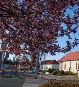 78. legjobb látnivaló: Balatonszárszói Bűnbánó Magdolna-templom