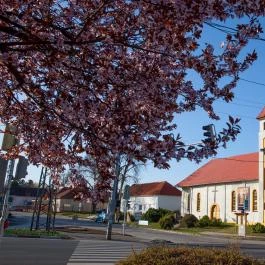 Balatonszárszói Bűnbánó Magdolna-templom Balatonszárszó - Egyéb